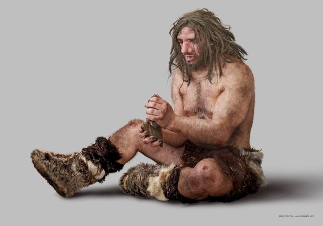 Homo neanderthalis