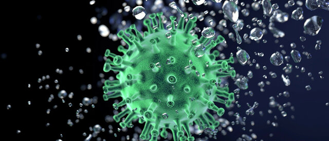 Pandemia covid