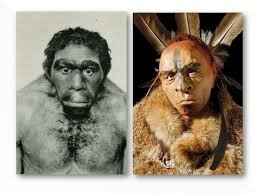 Homo Neandertal