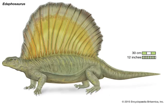 Edaphosaurus