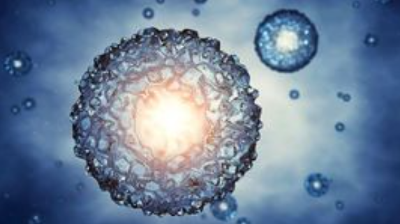 Es considera la cèl·lula com a unitat bàsica fisiològica i funcional.