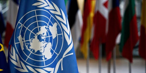 Fundación Organización Naciones Unidas