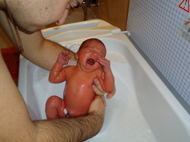 L'any del meu naixement