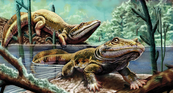 Esimesed kahepaiksed