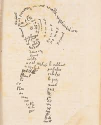 LITERATURA DE VANGUARDIA