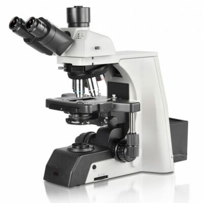 Timeline: TIPOS DE MICROSCOPIOS OPTICOS