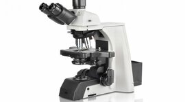 Timeline: TIPOS DE MICROSCOPIOS OPTICOS