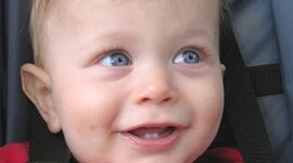 Timeline: toddler development