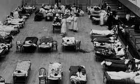 Cepa nueva del virus (INFLUENZA)