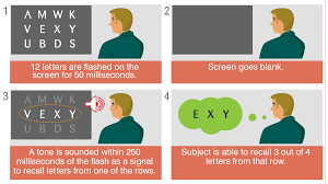 George sperling (1960)