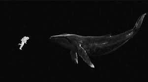 Regreso con su segundo álbum especial navideño 'Sing For You'