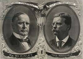 President William McKinley and Vice President Theodore Roosevelt make government
