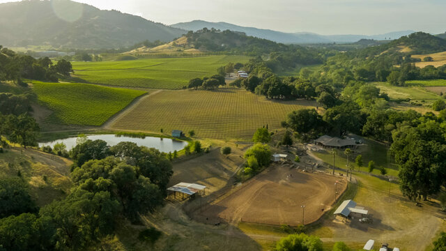 Michael Buys Angel Ranch