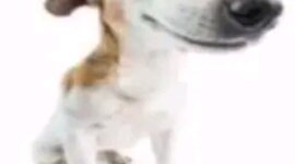 Timeline: 30 aasta sõda