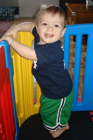 22-24 months Cognitive Development