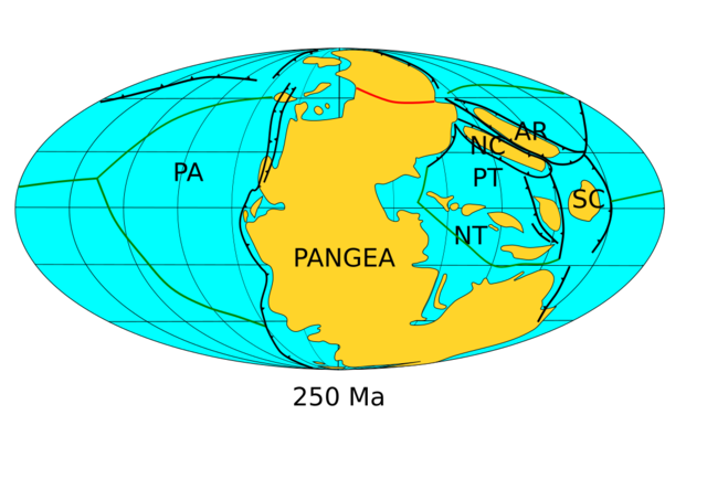 Pangaea teke