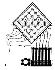 Telégrafo de 5 agujas