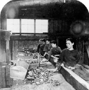 Robertine Barry est nommée première inspectrice des conditions de travail des femmes