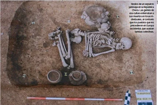 Cultura de los sepulcros de fosa