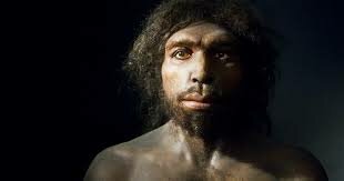 Homo Antecessor y Heidelbergensis