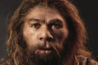 Hombre de Cromañón (Homo sapiens sapiens)