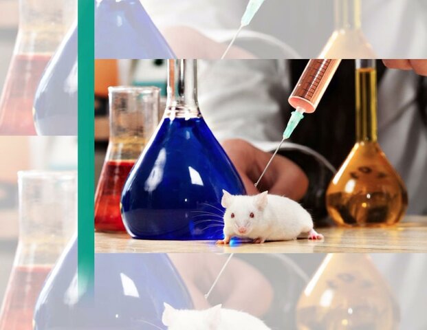 Se Patenta por Primera Vez un Organismo producido mediante Ingeniería Genética