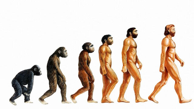 Evolucionismo