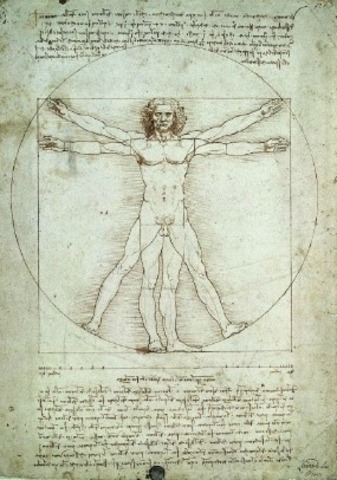 Porportion of the Human Figure