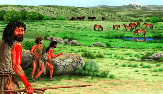 Domesticación del caballo