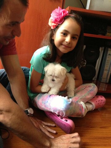 Cuarto grado (11 años)