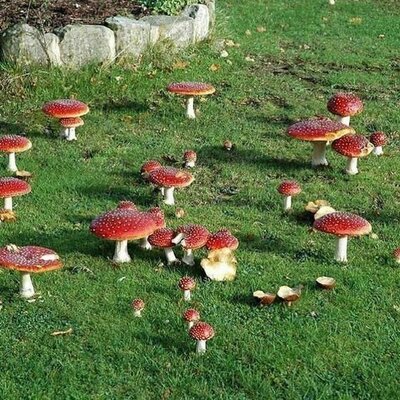 Timeline: 🄷🄸🅂🅃🄾🅁🅈