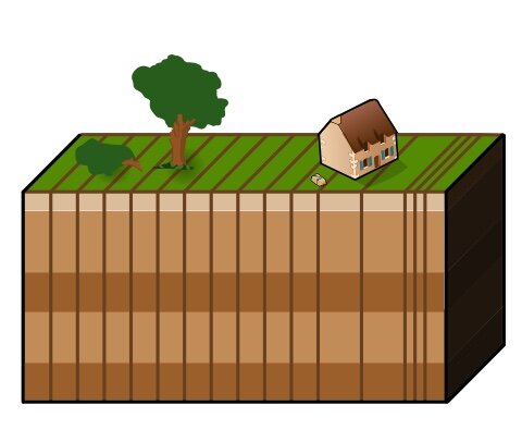CÉLULAS PROCARIOTAS