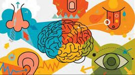 Timeline:  Actividad 4 - Recorrido en el estudio de los procesos sensoperceptivos