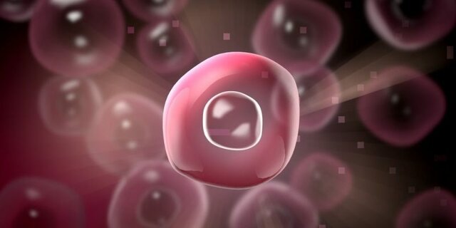 Características de la Primera Incorpación Simbiogenetica