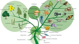 Timeline: Inicios del Planeta Tierra Hasta La Evolución- Wilder Jesid Nuñez