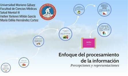 ENFOQUE DE PROCESAMIENTO DE INFORMACION