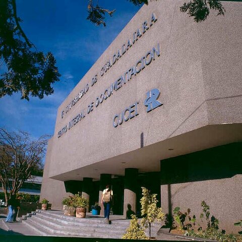 Reanudación de Actividades