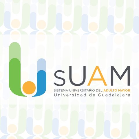 Creación del SUAM