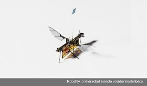 Robofly