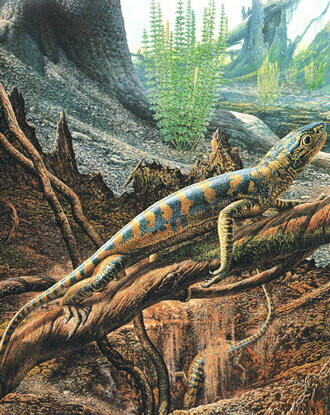 Esimene roomaja maismaal