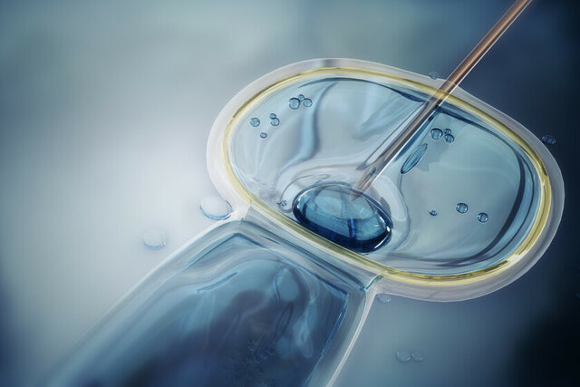 células de piel humana para crear células madre embrionarias.