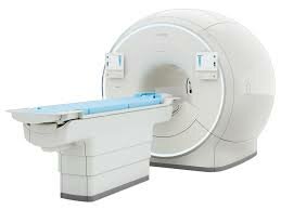 ELEMENTOS IMPORTANTES QUE MARCARON LA HISTORIA