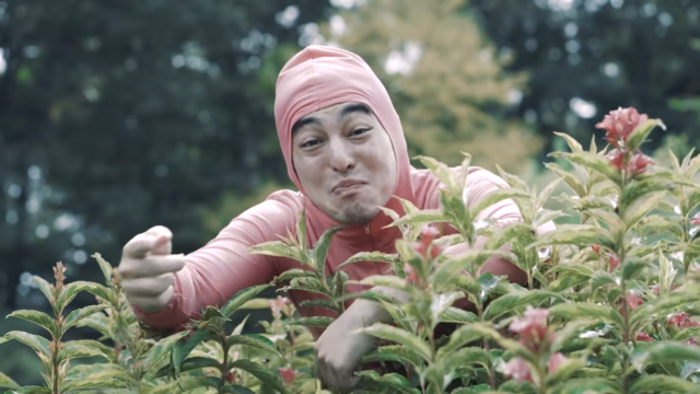 PINK GUY - STFU is released