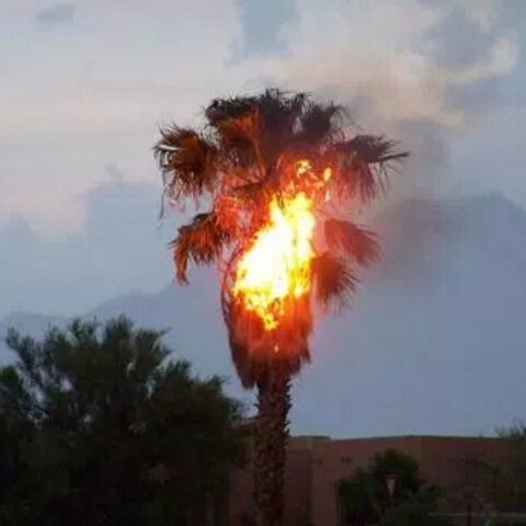 WORLD$TAR MONEY is released