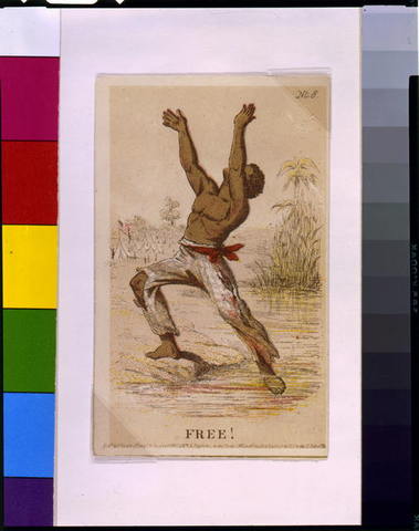 The 14th Amendment (date Ratified)