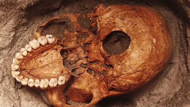 Discovery of a fossil who have 90 000 years old