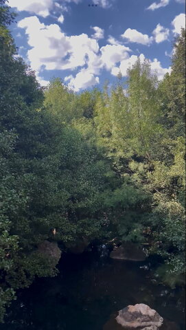 MY LAST DAY IN MY VILLAGE