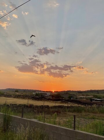 THE BEST SUNSET OF THE SUMMER