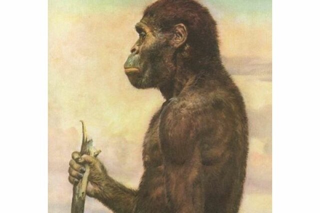 EVOLUCION DEL ANTEPASADO DEL HOMBRE