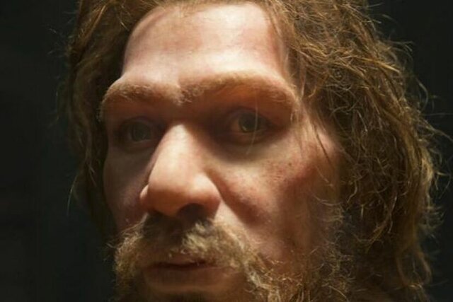 EVOLUCION DEL SAPIENS